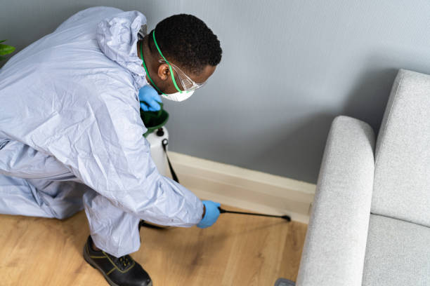 Best Termite Inspection and Treatment  in Newberry, FL